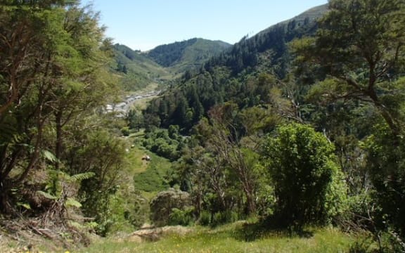 Brook Waimarama Sanctuary