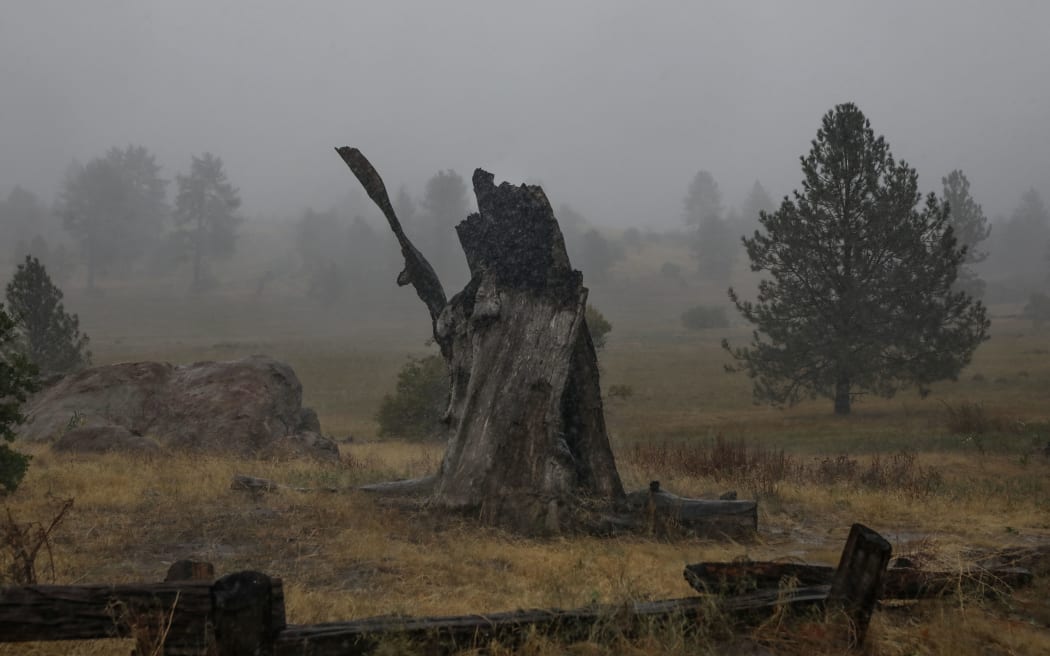 JULIAN, CA - SEPTEMBER 09: Rain and heavy winds from Hurricane Kay on September 9, 2022 in Julian, California. The Tropical Storm, which produced winds up to 109 MPH in the Eastern part of San Diego County, downed several trees and power lines and caused flooding.   Sandy Huffaker/Getty Images/AFP (Photo by Sandy Huffaker / GETTY IMAGES NORTH AMERICA / Getty Images via AFP)