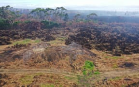 Fire damage to the Kaimaumau Wetland
