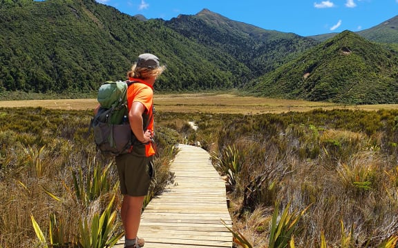 A section of the new boardwalk in Te Papakura o Taranaki / Egmont National Park.