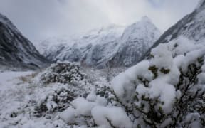Closed Milford Road during winter