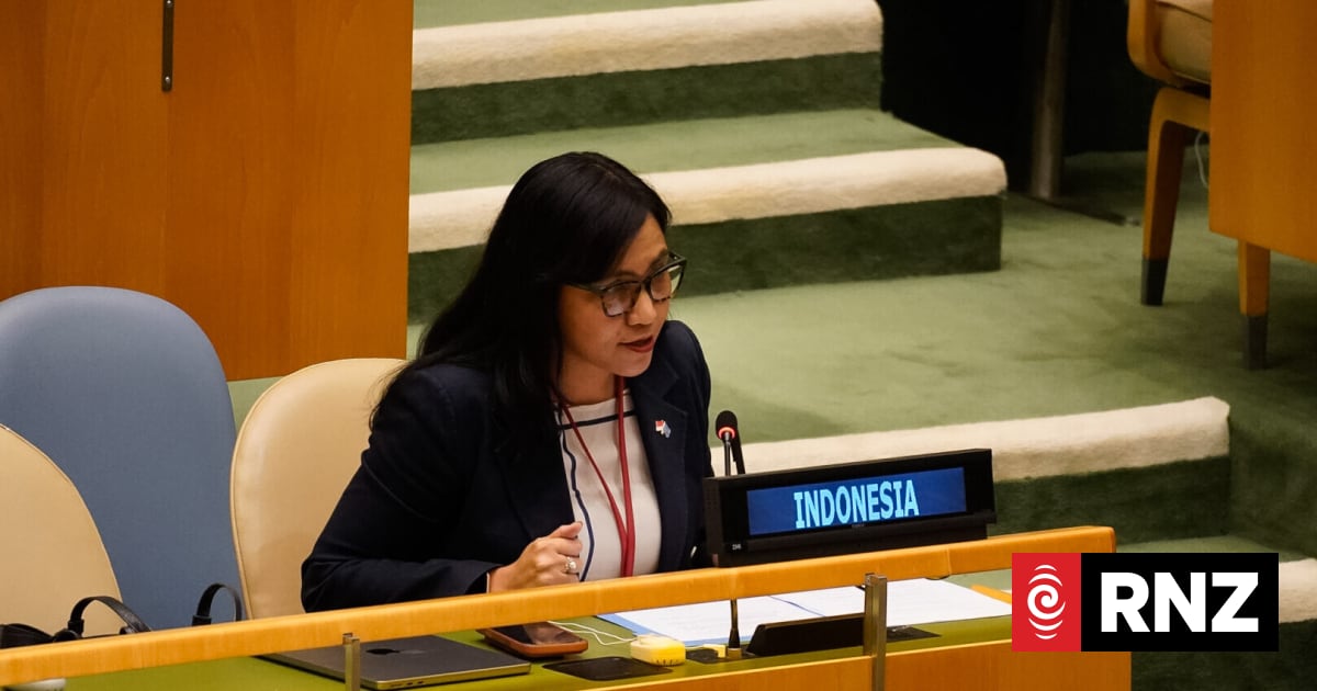 Indonesia says institutions 'working continuously' on rights allegations