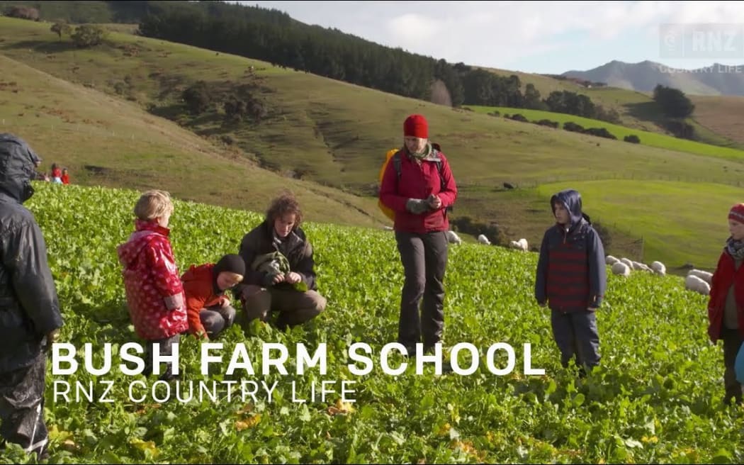 Bush Farm School | Country Life | RNZ