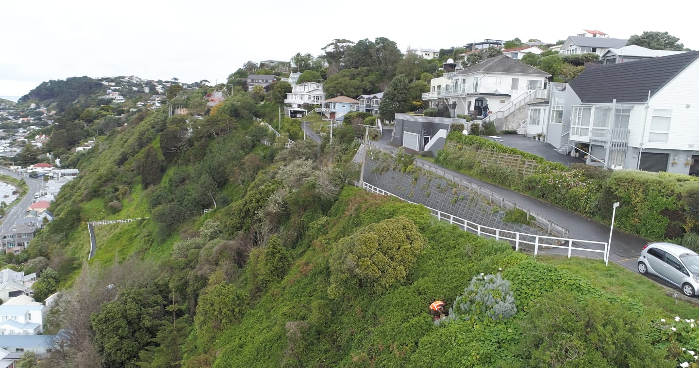 Miramar Peninsula, Wellington, urban landscape-scale predator eradication project