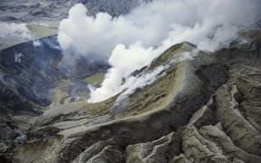 The active White Island volcano in the Bay of Plenty.