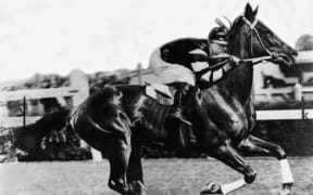 An undated handout photo of legend racehorse Phar Lap.