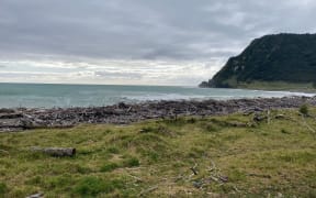 Te Araroa on the East Cape