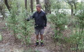 A man standing in a forest.