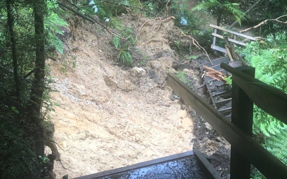 Damage in Le Roys Bush from slips following the Auckland Anniversary floods.