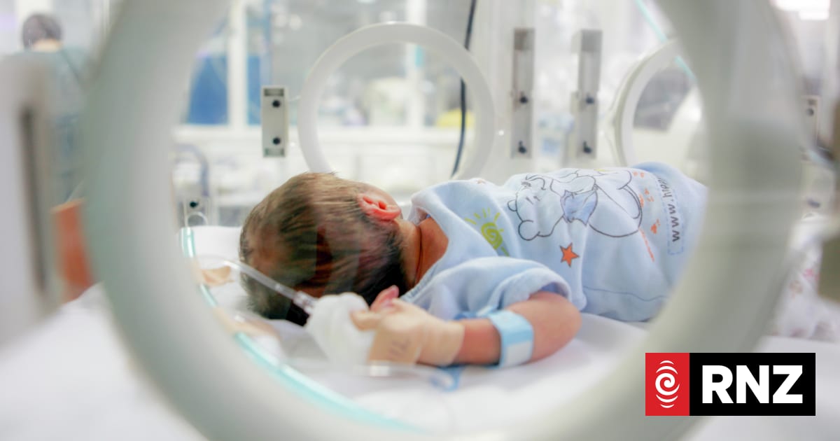 25 years of helping preterm babies: 'There's a lot of opportunities to do things that matter'