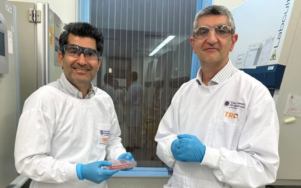 Dr Abbas and Professor Khosrotehrani in the lab at the Fraser Institute with a tray of their skin organids.