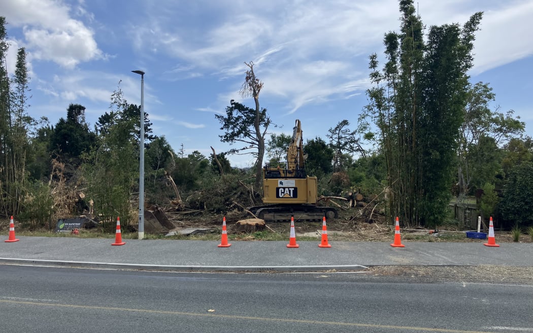 Fallen trees are cleared on Molesworth Drive.