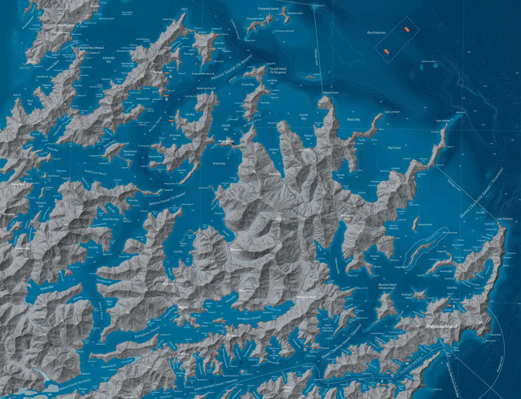 A map shows the planned location of the Blue Endeavour open ocean salmon farm in Cook Strait.