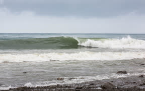 surf