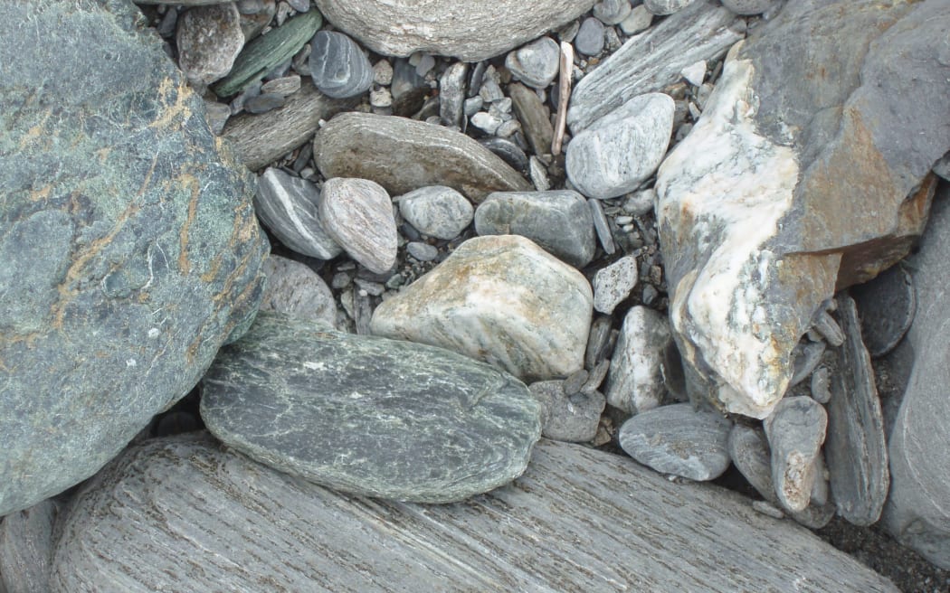 Pounamu amongst pebbles in a riverbed.