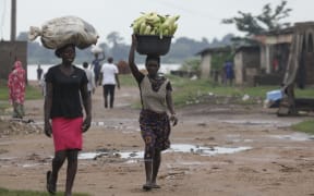 Women carry bags of maize at a farm in Northbank, Benue State, Nigeria on 12 August, 2021. Threatened by insecurity, farmers in Nigeria's farm belt are increasingly abandoning their land, leading to supply problems and adding to the already high cost of food in Africa's most populous country. Nigeria's Middle Belt and northwestern states have for years been caught in violence between normadic herdsman and farmers as climate change intensifies rivalries over water and land. But that violence has spiralled into security crisis tit-for-tat attacks and expanded into widespread kidnapping, cattle theft and criminal banditary.
