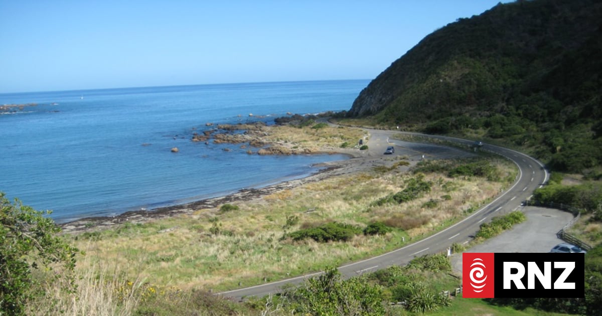 Untreated wastewater discharged into Wellington's Tarakena Bay