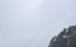 Marine Drive, Lowry Bay, Wellington on 26 June.