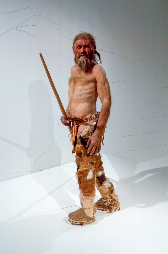 A model of Ötzi the Iceman at the South Tyrol Museum of Archaeology in Italy