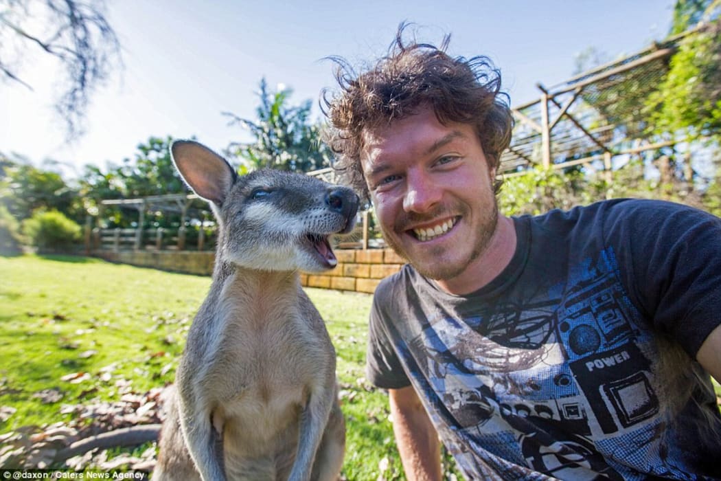 A wallaroo gossiping with Allan Dixon