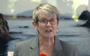 A screengrab of Judy Turner at the Whakaari/ White Island Thursday press conference.