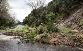 Slips cover the road along State Highway 35