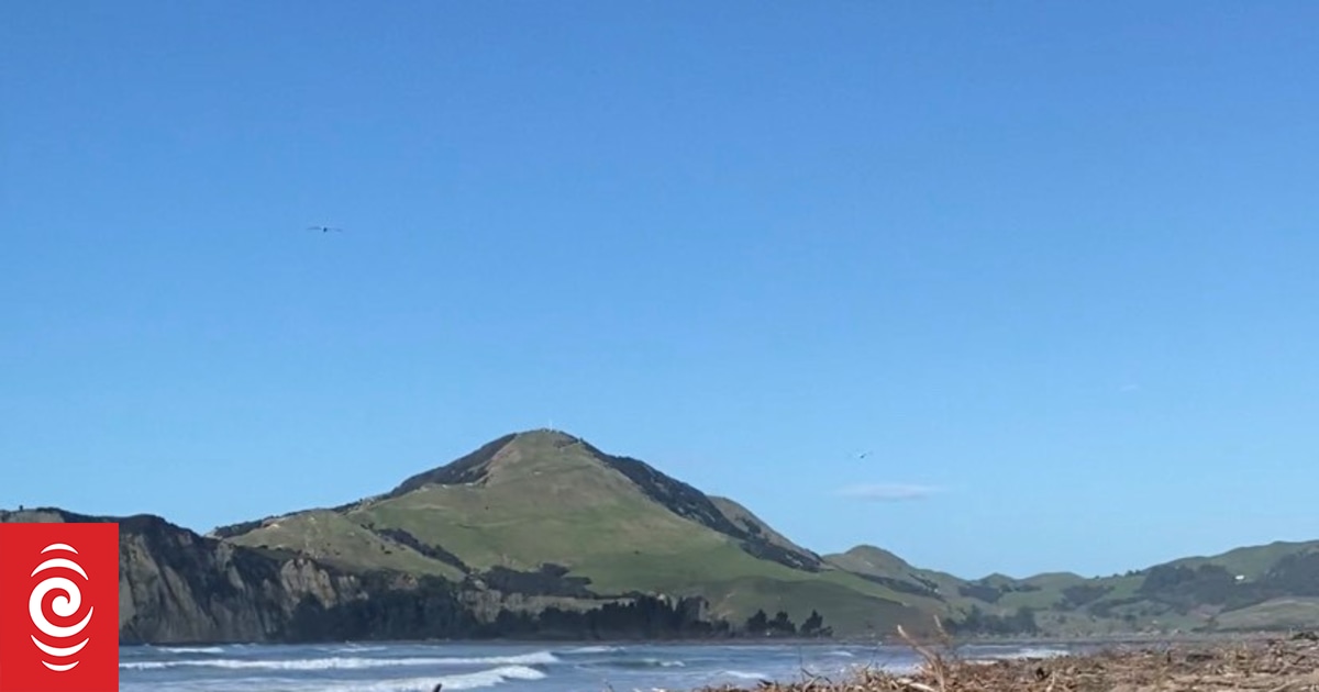 Forestry slash affects Tolaga Bay lives and livelihoods RNZ