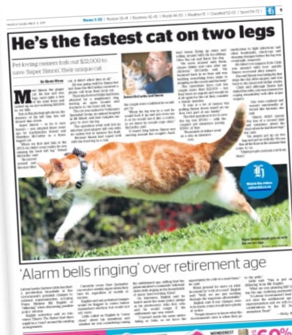 Two-legged cat beats retirement savings in the Herald on Sunday.