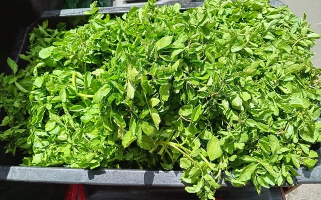 A Hastings man who has been selling bunches of watercress for more than 30 years has been told to stop by Hastings District Council until he pays registration fees.