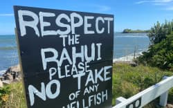 The rāhui has largely held for four years but there’s been illegal taking of kaimoana including by headtorch at night. (Te Korimako o Taranaki file)