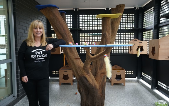 Pet Refuge founder Julie Chapman in the centre's cat area.