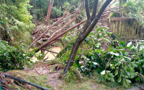 Damage from the severe thunderstorm at Henderson Park, west Auckland.
