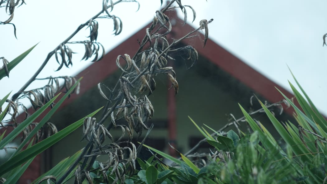 Hiruharama Marae near Ruatoria