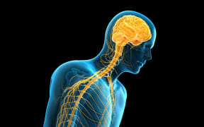 Parkinson's disease can invade from the intestines.