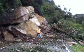 Boulders on SH6 near Haast on the West Coast