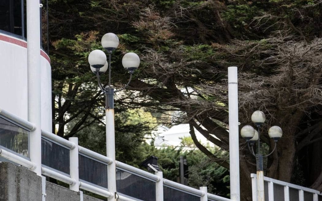 Light crashes in Wellington CBD