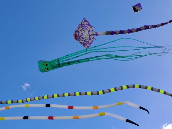 The annual Whakarewa Manu Tukutuku, Kite Day, will take place on Saturday at Ngā hau e whā o Pukekohe Marae in Auckland.
