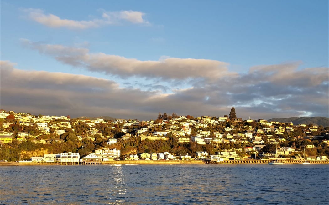 Nelson waterfront from sea
