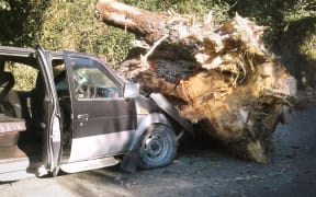 Pamela Coleman's truck after the accident.