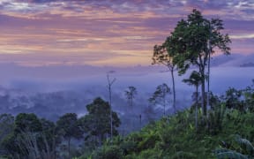 Papua New Guinea.