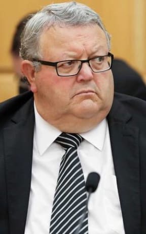 Greey Brownlee at the select committee meeting.
