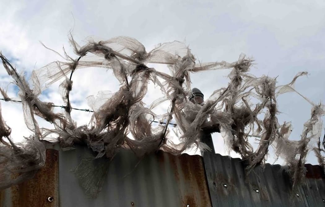 Plastic bags in razor wire, New York City