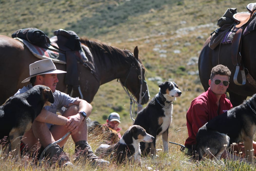 Stockmen resting after a cattle muster at Molesworth