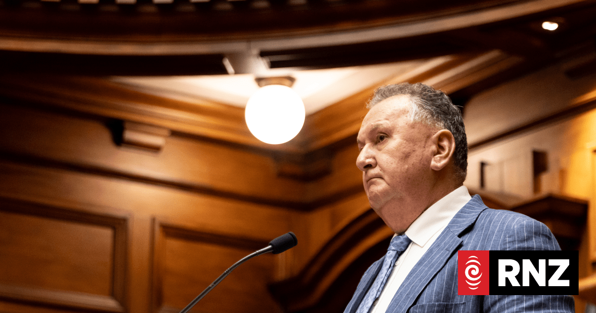 National, ACT MPs call out Jones' 'butter chicken' comments as racist and 'lame dad jokes'