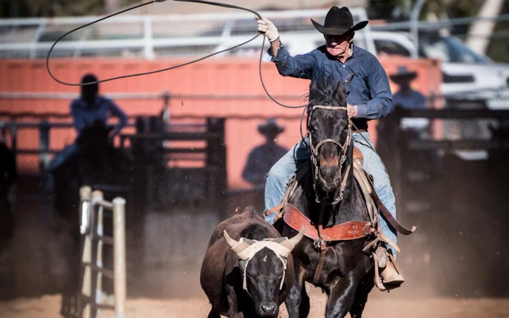 Police are appealing for information after a prize belt buckle belonging to 94-year-old cowboy Bob Holder was stolen.