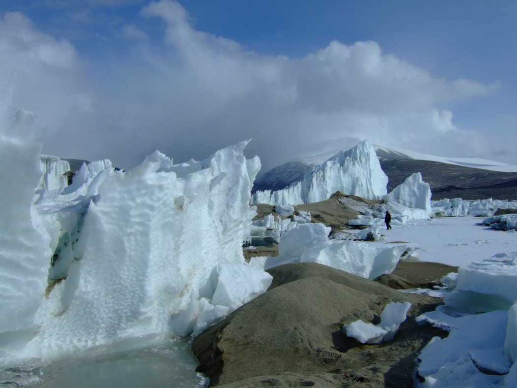 Another surprise came when the team found a high diversity of viruses in Antarctica's permanently ice-covered lakes.