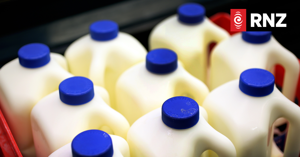 Synlait investors crossing fingers as troubled milk producer releases first-half results - Vimarsana News