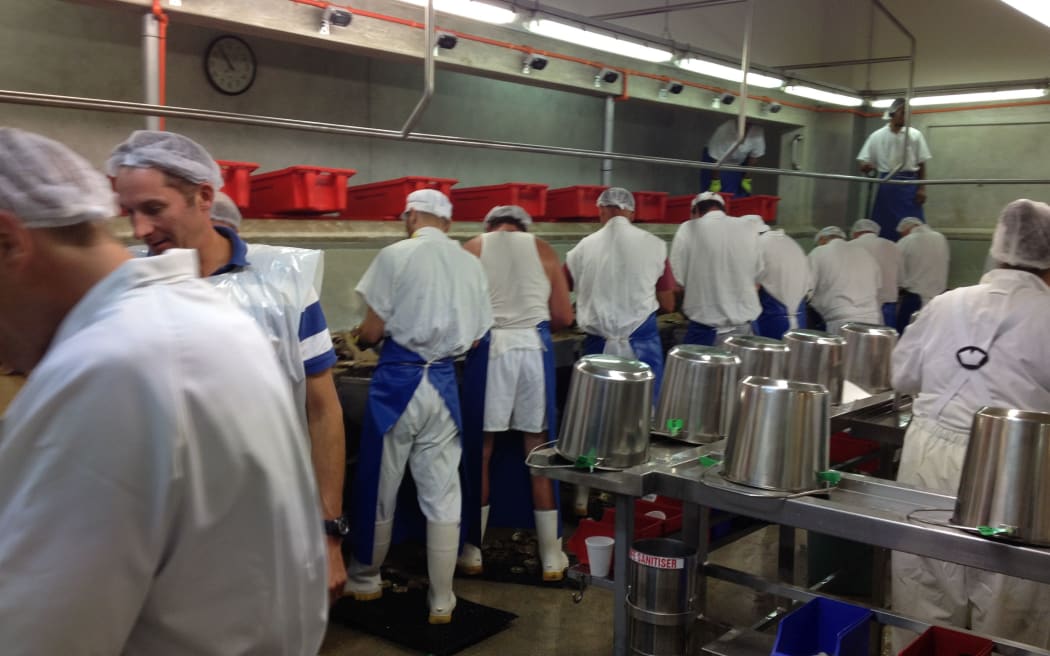 Wokrers at Barnes Oysters processing Bluff oysters.