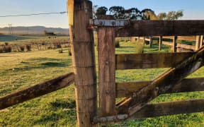 Rain gauge on a fence post