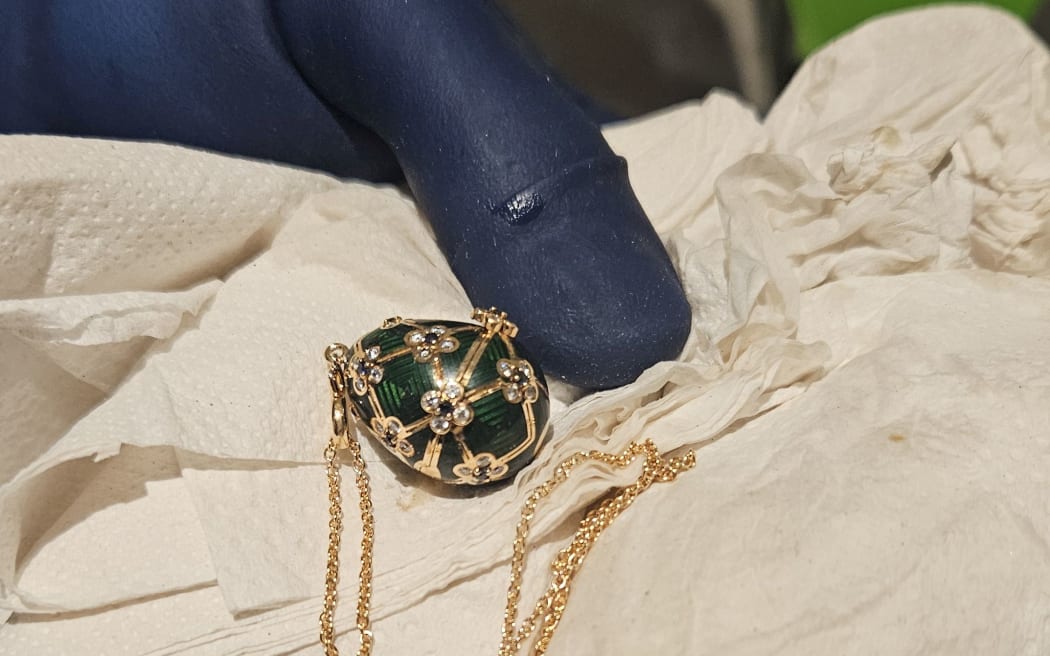 $33,000 pendant swallowed in jewellery heist 'recovered'